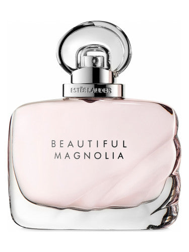 Beautiful Magnolia